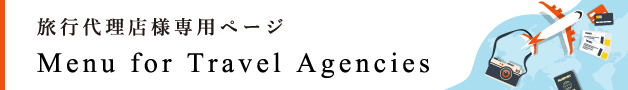 Exclusive Page for Travel Agencies